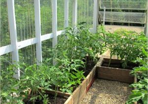 Green House Plans with Photos Home Green House Layout Interior Front West Greenhouse