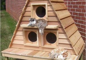Heated Cat House Plans Domiki Dlya Koshek Dom Mechty