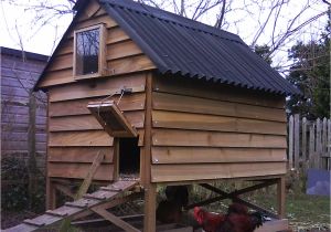 Hen House Building Plans Backyard Hen House Plans Outdoor Furniture Design and Ideas Hen House Building Plans Backyard Hen House Plans Outdoor Furniture Design and Ideas