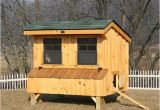 Hen House Building Plans Chicken Coop Ideas Designs and Layouts for Your Backyard