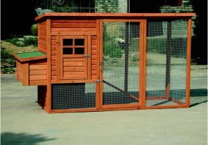 Hen House Design Plans Chicken Coop Ideas Designs and Layouts for Your Backyard