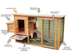 Hen Houses Plans Learn How to Build Chicken Coops or A Hen House with Easy