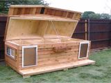 Hinged Roof Dog House Plans Dog House Plans with Hinged Roof Youtube