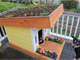 Hinged Roof Dog House Plans Free Dog House Plans Hinged Roof
