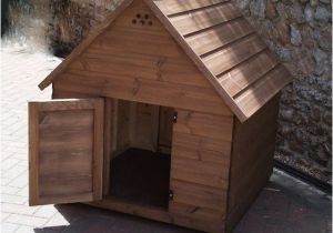 Hinged Roof Dog House Plans House Plans with Hinged Roof 28 Images Arduino Chicken Hinged Roof Dog House Plans House Plans with Hinged Roof 28 Images Arduino Chicken