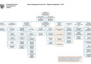 Home Auto Security Plan Home and Auto Security Plan Beautiful Management Overview