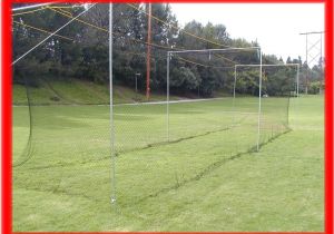 Home Batting Cage Plans Backyard Batting Cages Bestsciaticatreatments Com
