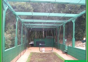 Home Batting Cage Plans Home Batting Cage Plans Baddgoddess Com