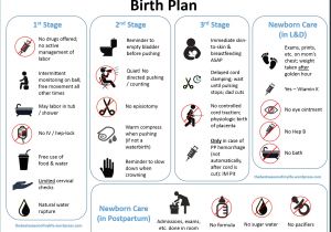 Home Birth Birth Plan A Downloadable Visual Birth Plan the Best Season Of My Life