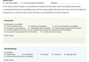 Home Birth Birth Plan Template 10 Best Images Of Natural Birth Plan Checklist Printable