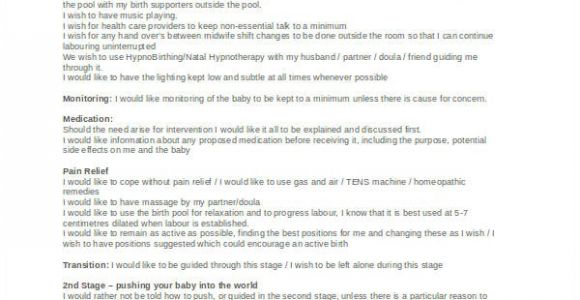 Home Birth Birth Plan Template Birth Plan Template 15 Free Word Pdf Documents
