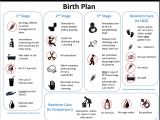 Home Birth Plan A Downloadable Visual Birth Plan the Best Season Of My Life