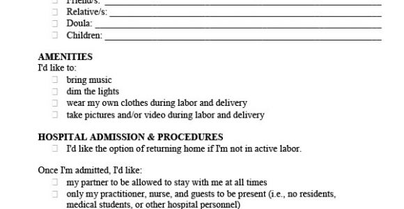 Home Birth Plan Worksheet 22 Sample Birth Plan Templates Pdf Word Apple Pages