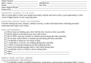 Home Birth Plan Worksheet How to Create Your Perfect Birth Plan Baby Chick