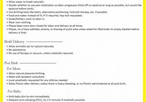 Home Birth Plan Worksheet Sample Birth Plan form Template Worksheet