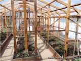 Home Built Greenhouse Plans Greenhouse Guide to Build A Wood Greenhouse at Home All