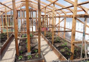 Home Built Greenhouse Plans Greenhouse Guide to Build A Wood Greenhouse at Home All