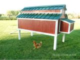 Home Depot Chicken Coop Plans Diy Chicken Coop 5 Ways to Build Yours Bob Vila