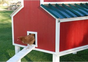 Home Depot Chicken Coop Plans Free Plans for An Awesome Chicken Coop the Home Depot