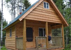 Home Depot Cottage Plans Diy Tiny Cabin with Plans Country Living