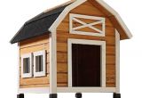 Home Depot Dog House Plans Dog House at Home Depot 28 Images New Age Pet Eco