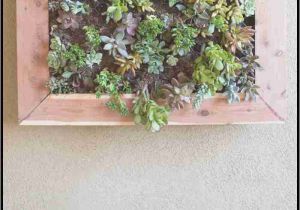 Home Depot Vertical Garden Plans Home Depot Vertical Garden Diy White Bedroom Design Ideas