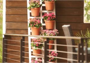 Home Depot Vertical Garden Plans Make A Vertical Garden the Home Depot Garden Club Garden