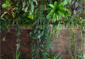 Home Depot Vertical Garden Plans Vertical Garden Diy Home Depot White Bedroom Design Ideas