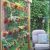 Home Depot Vertical Garden Plans Vertical Garden Diy Home Depot White Bedroom Design