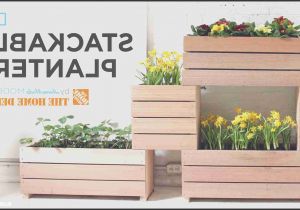 Home Depot Vertical Garden Plans Vertical Garden In Front Of the Bedroom Chocoaddictscom