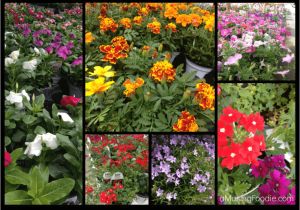 Home Depot Vertical Garden Plans Vertical Garden Project Buying the Materials Digin A