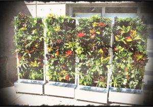 Home Depot Vertical Garden Plans Vertical Wall Garden Kits Plants On Walls Systems Modular