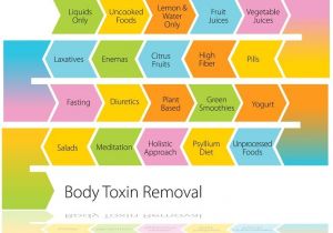 Home Detox Plan 7 Ways to Detox Your Body Fitnea Stay Fit