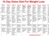 Home Detox Plan Home Detox Recipe to Cleanse Your Body Back to Health