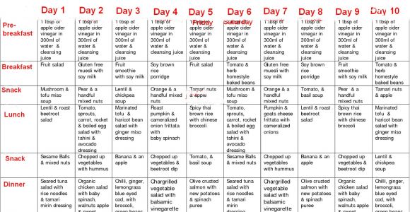 Home Detox Plan Home Detox Recipe to Cleanse Your Body Back to Health