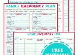 Home Emergency Planning Family Emergency Plan Printables Dear Diary Pinterest
