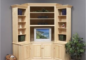 Home Entertainment Furniture Plans 17 Diy Entertainment Center Ideas and Designs for Your New
