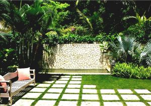 Home Garden Design Plan Vegetable Garden Design Layout with How to Plant A the Home Garden Design Plan Vegetable Garden Design Layout with How to Plant A the