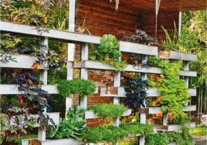 Home Garden Plans Beautiful Home Gardens Back to Relax In My and Garden with Home Garden Plans Beautiful Home Gardens Back to Relax In My and Garden with