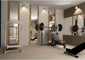 Home Gym Plans Home Gym Ideas How to Create A Perfect Home Gym Homes
