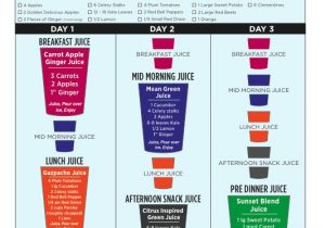 Home Juice Cleanse Plan 3 Day Juice Fast Housewife2hostess