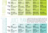 Home Juice Cleanse Plan Best 25 2 Day Cleanse Ideas On Pinterest Detox Cleanse