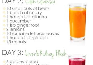 Home Juice Cleanse Plan Best 25 Weight Loss Juice Ideas that You Will Like On