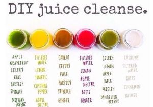 Home Juice Cleanse Plan the Juice Cleanse Diet