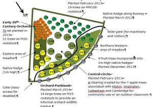 Home orchard Plan orchard Planting Map