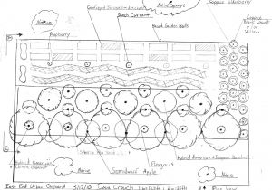 Home orchard Plan Urban Permaculture In Cincinnati Oh Usa Treeyo