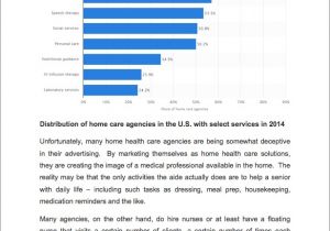 Home organization Plan Home Health Care Business Plan Sample Pages Black Box
