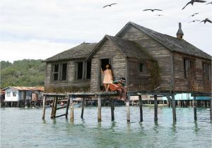 Home Plans On Stilts House On Stilts