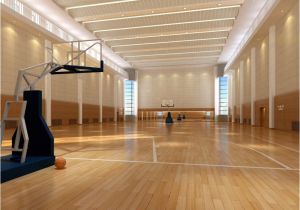 Home Plans with Indoor Basketball Court Guide to Indoor Basketball Court and Floor Tips Traba Homes