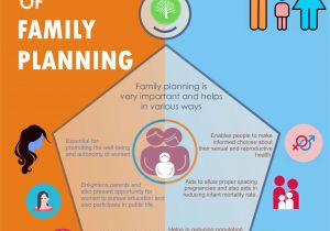 Home Remedies for Family Planning Infographics Benefits Of Family Planning Healthfactsng